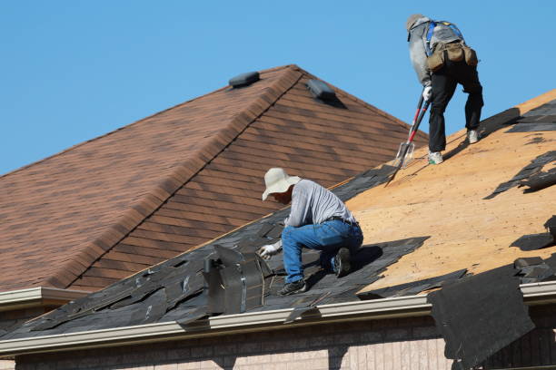 Best Roof Installation  in Battle Mountain, NV